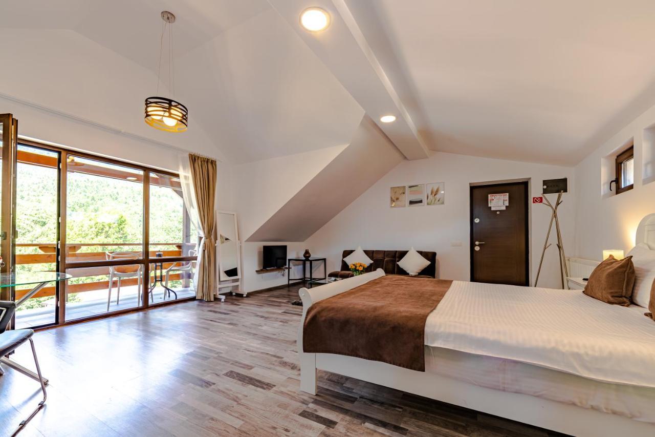 Yael Luxury Apartments 2 Busteni Luaran gambar